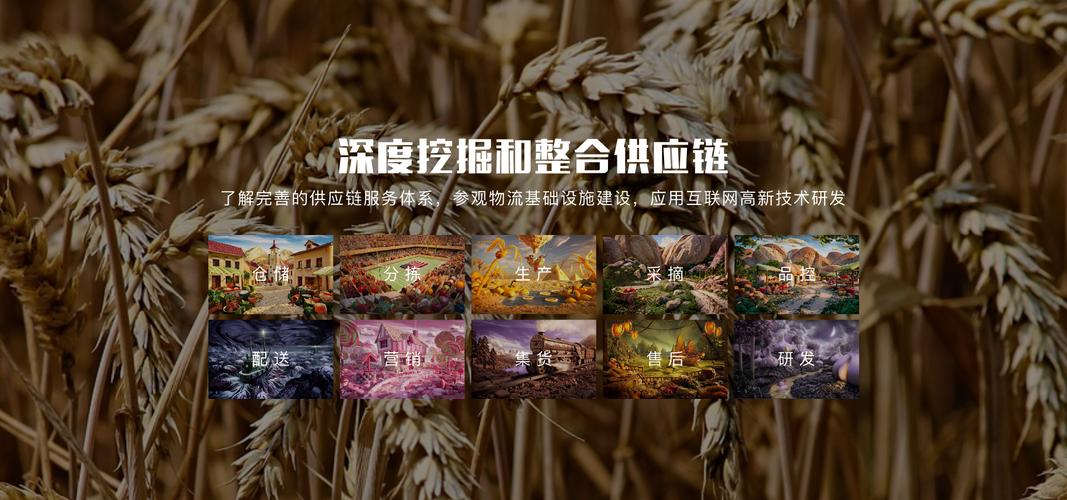 有量 重塑農產品供應鏈的數字化先鋒與內容賦能者